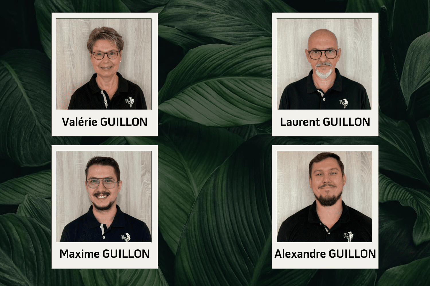 Polaroid portraits GUILLON le ruban LED français